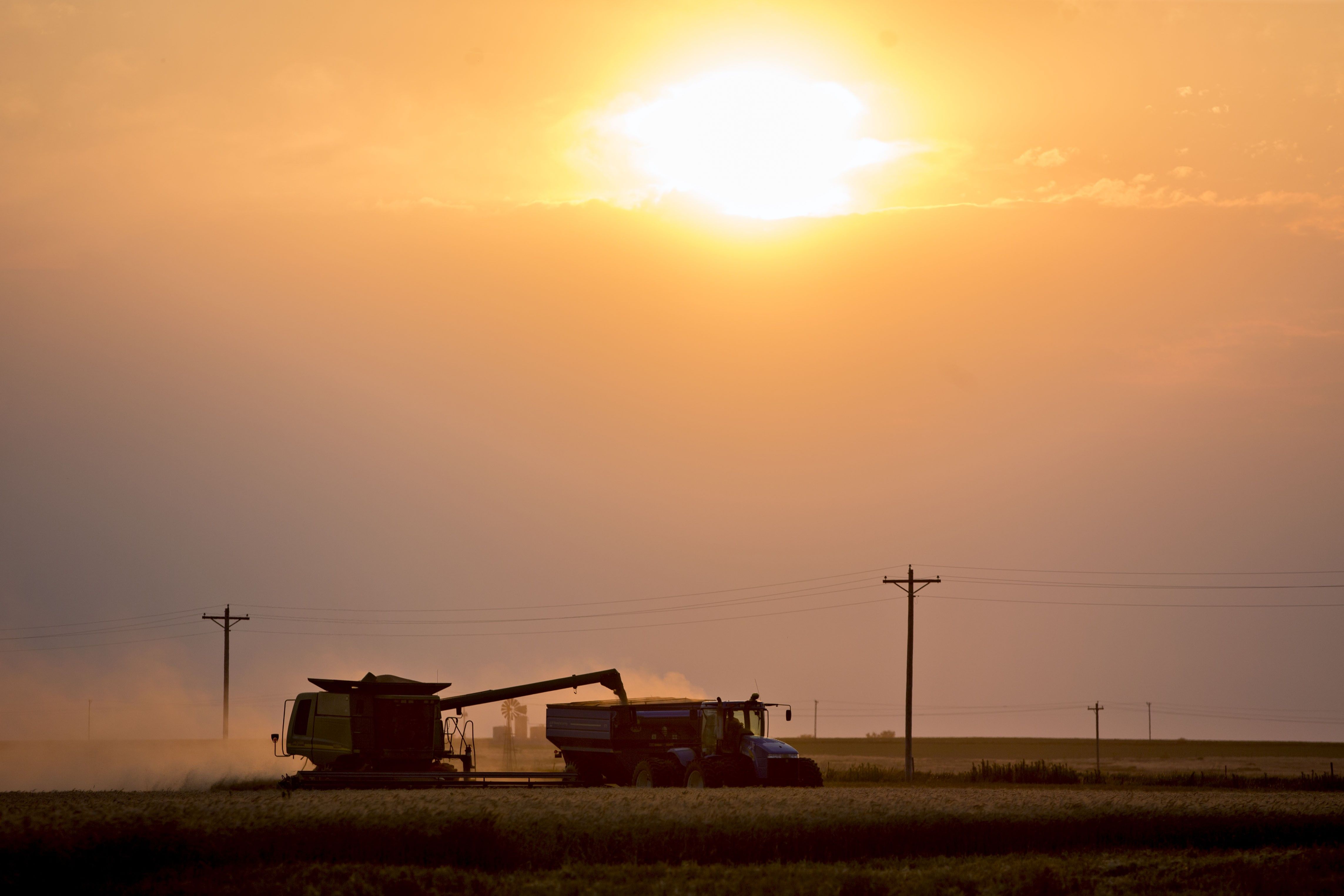 Wild Swings In Wheat Turn On U.S. Drought Threat, Export Outlook 