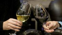 Diferencias y similitudes de dos vinos de exportación