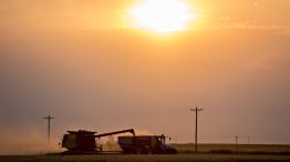 Wild Swings In Wheat Turn On U.S. Drought Threat, Export Outlook 