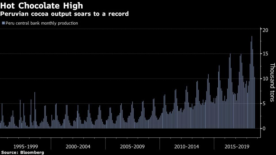 Peruvian cocoa output soars to a record