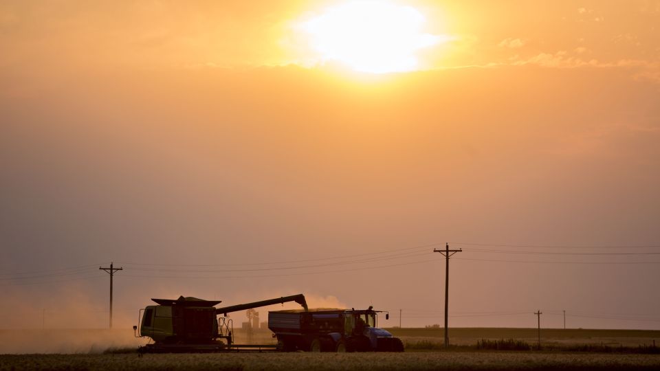 Wild Swings In Wheat Turn On U.S. Drought Threat, Export Outlook