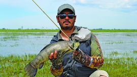 La pesca en este ámbito del corredor de Ruta 2 es muy efectiva con artificiales, porque en las zonas de desbordes el agua se calienta rápido.