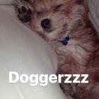 Oscar_Bieber (2)