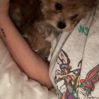 Oscar_Bieber (5)