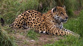 201604131365_ciencia_CP40 CEDOC
