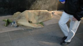 situacion de calle