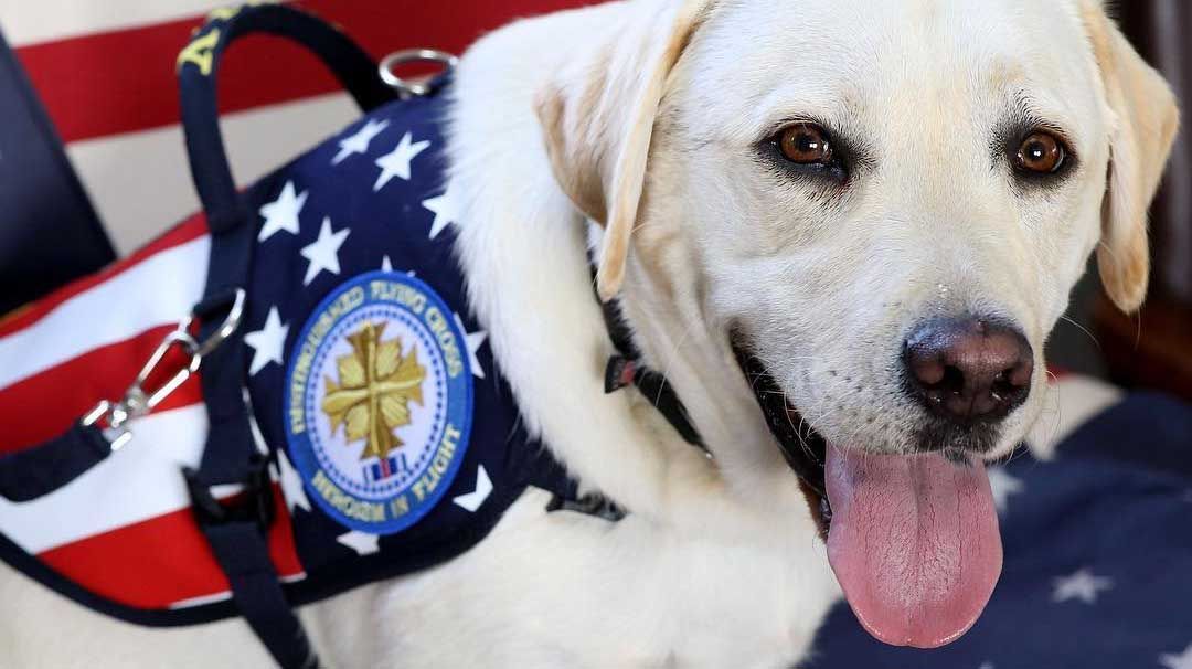 Bush padre junto a su perro 