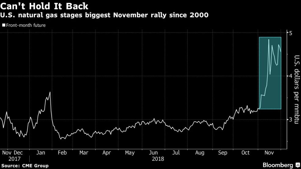 U.S. natural gas stages biggest November rally since 2000