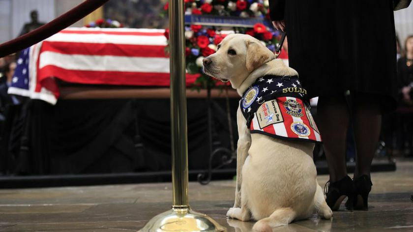 Trump y los 4 expresidentes vivos de EEUU dan el último adiós a George H. W. Bush