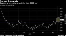 Soybean premium to corn climbs from 2018 low
