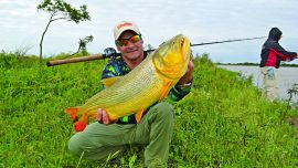 Dorados de buen porte obtenidos con carnada viva y señuelos de profundidad y media agua en Las Cuevas.