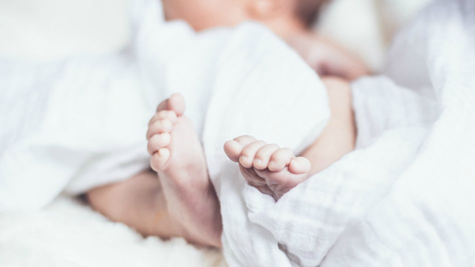 transplante utero post mortem