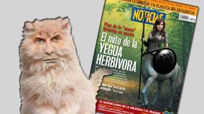 Macri gato Noticias