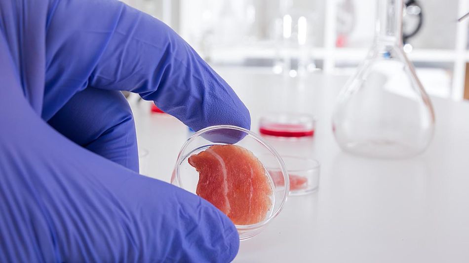 201812081367_ciencia_CP44 2 CEDOC
