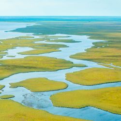 Las 159.800 hectáreas que lo componen fueron donadas por las fundaciones CLT y Flora y Fauna Argentina. Se suman a las 553.000 de esteros y humedales del contiguo Parque Provincial.