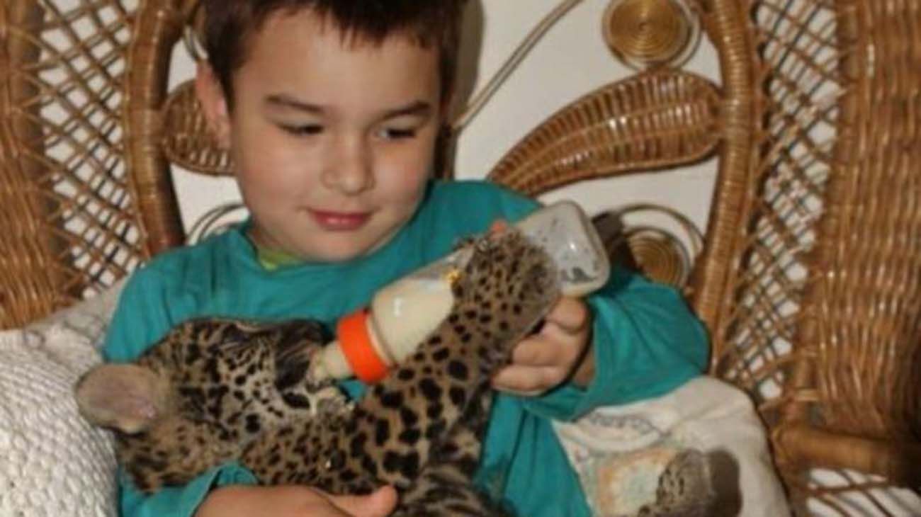 La historia del niño que se hizo viral por una foto de el junto a unos jaguares