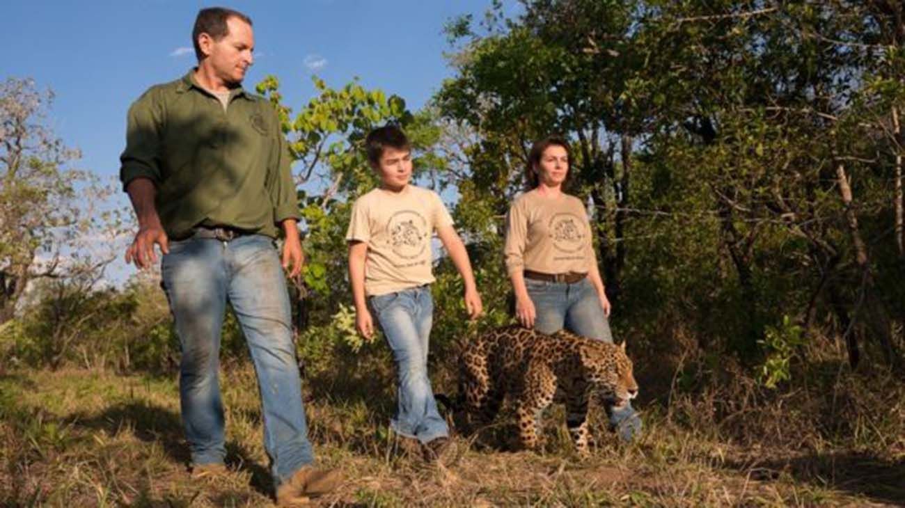 La historia del niño que se hizo viral por una foto de el junto a unos jaguares