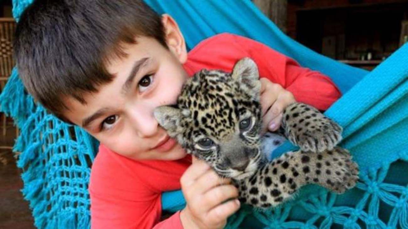 La historia del niño que se hizo viral por una foto de el junto a unos jaguares