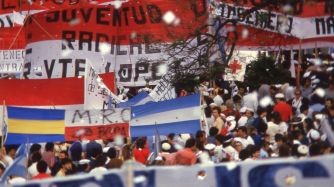 radicalismo 35 años democracia