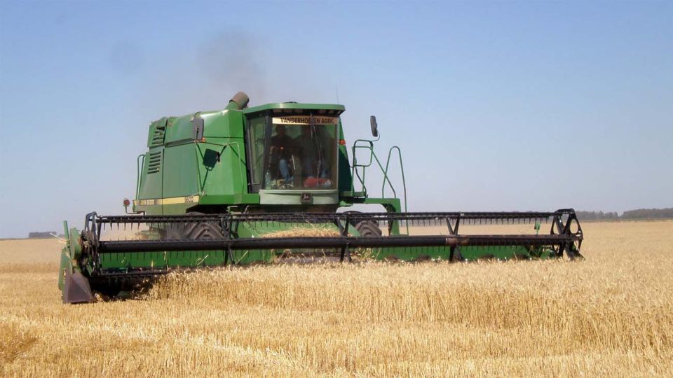 Sector agrícola