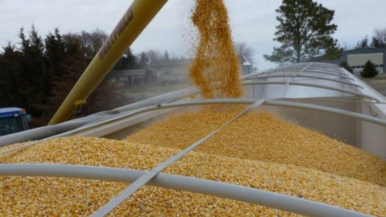 La desaceleración del crecimiento de la demanda de cereales preocupa a Estados Unidos.