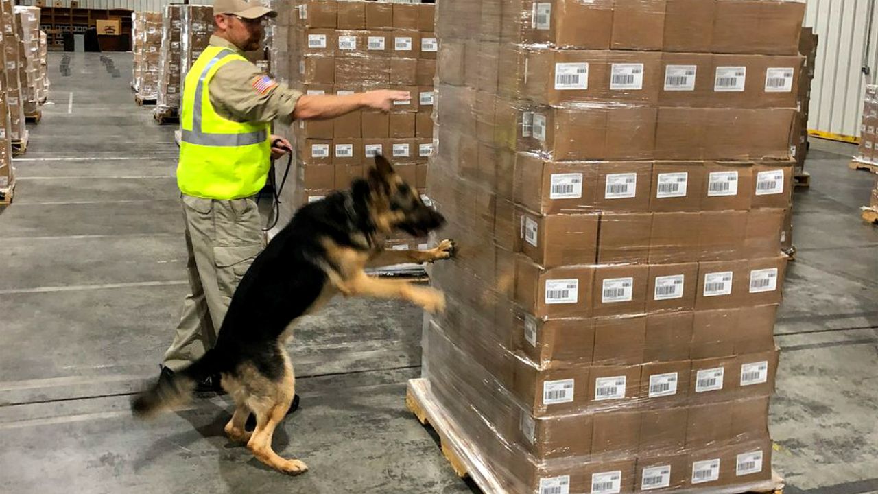 se permiten perros en el complejo deportivo de bachman