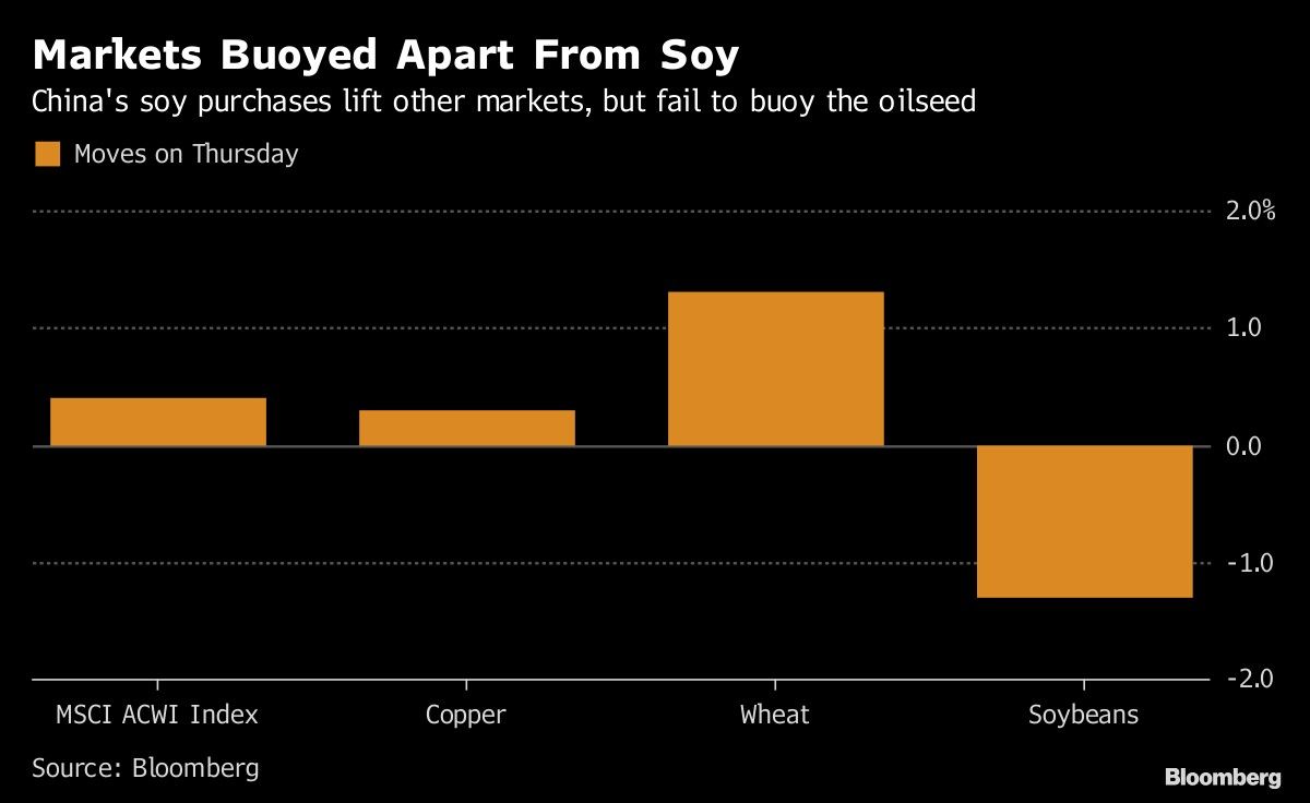 Markets Buoyed Apart From Soy