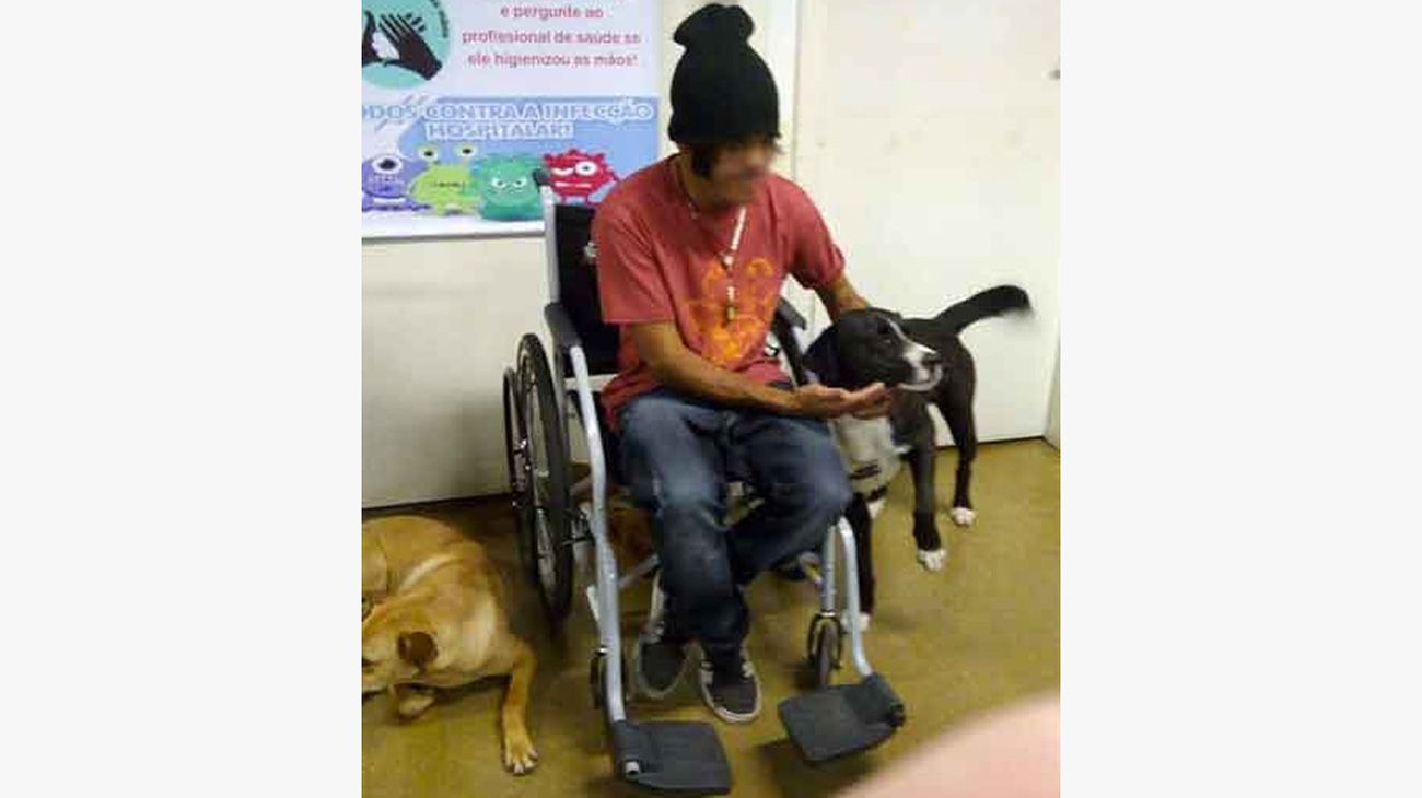 Los animales permanecieron en la entrada del centro de salud mientras esperaban a que los médicos atendieran a su dueño. 