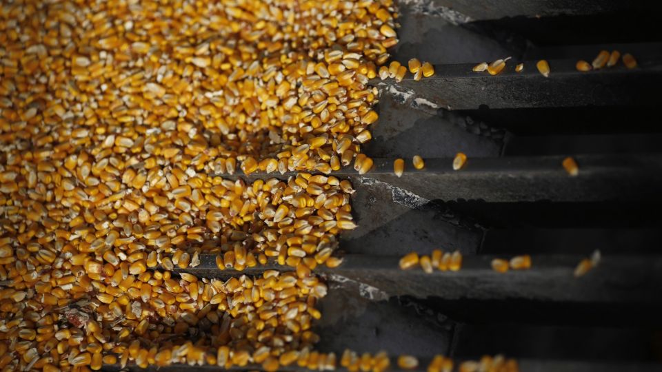 Ghana Opens Commodities Exchange in Push to Lift Farmers' Income