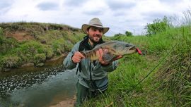 1215_Tarariras y truchas al acecho