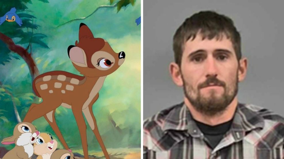 cazador furtivo bambi