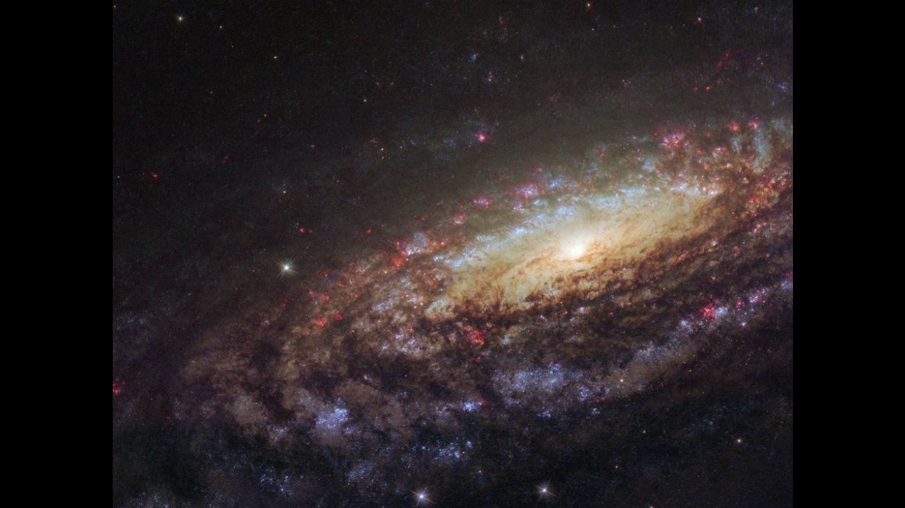 El telescopio Hubble transmitió imágenes de la galaxia espiral NGC 7331 en la constelación de Pegasus. Es similar en tamaño, forma, masa y velocidad a la Vía Láctea, pero, a diferencia de ella, carece de un 'puente' estelar que atraviese el núcleo.