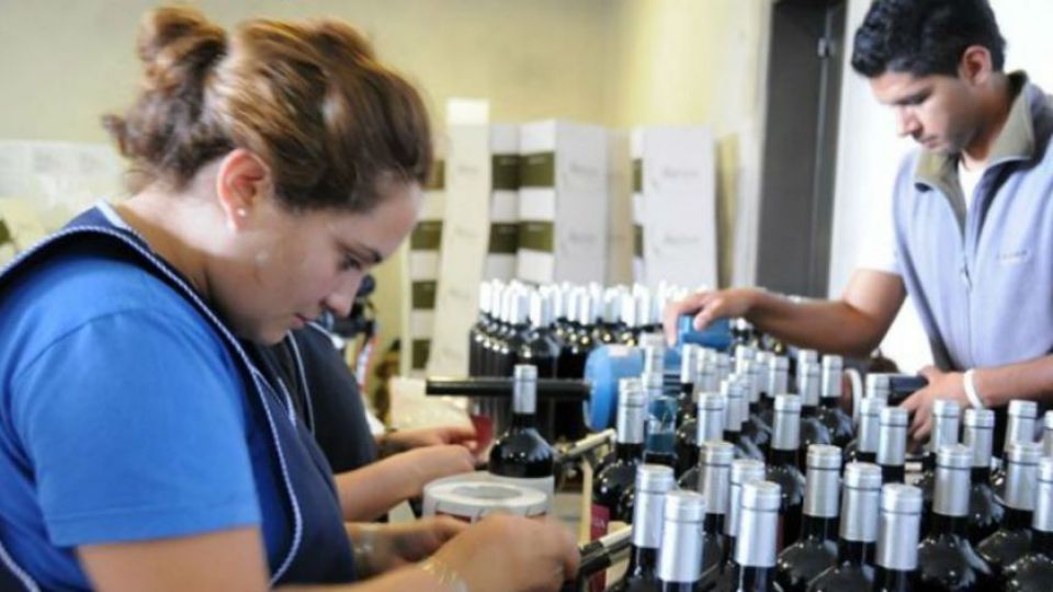 No se están creando empresas nuevas, al ritmo que quisiera el Gobierno.