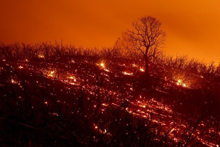  ARDIÓ CALIFORNIA. Durante el 2018 en California se declararon más de 7 mil quinientos incendios que arrasaron un área de 6,749.57 km². Fue en noviembre cuando se produjo una oleada de incendios en el estado de California, incluido el Camp Fire, que ha sido considerado el más destructivo de la historia del estado. El voraz incendio arrasó más de 12.000 edificios, en su mayoría en la población de Paradise, que quedó completamente destruida por las llamas.