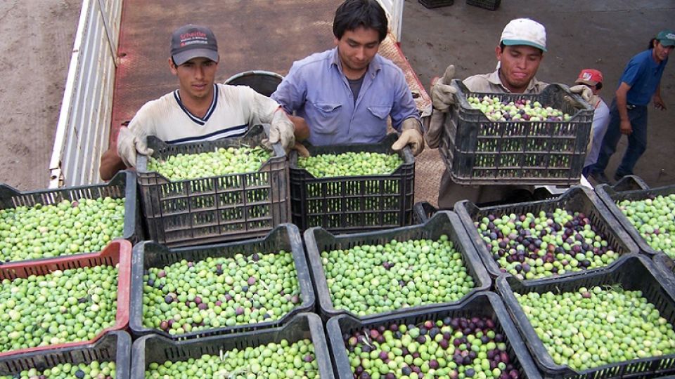 El RENATRE procura cuidar los puestos de trabajo del sector proponiendo políticas que protejan el tejido social del campo.
