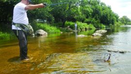 1229_Cómo descubrir las prestaciones de las cañas