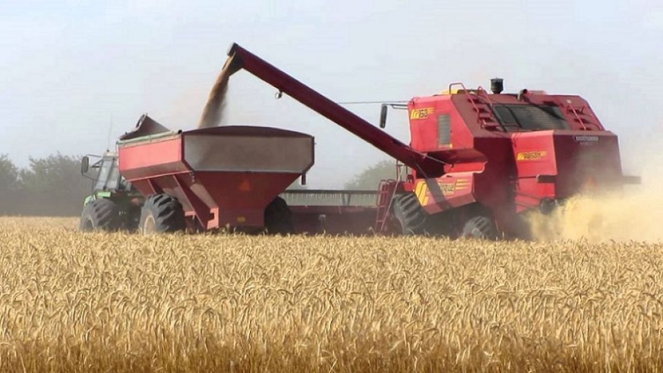 El precio internacional de la soja estará condicionado por la continuidad o no de la tirantez comercial entre Estados Unidos y China.