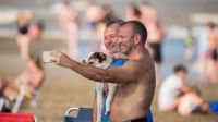 Perros playa Pinamar