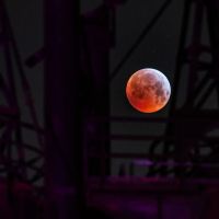 germany-astronomy-moon-eclipse