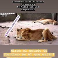 whatsapp-image-2019-01-31-at-180547