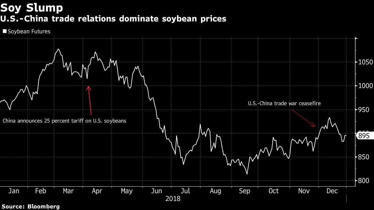 U.S.-China trade relations dominate soybean prices