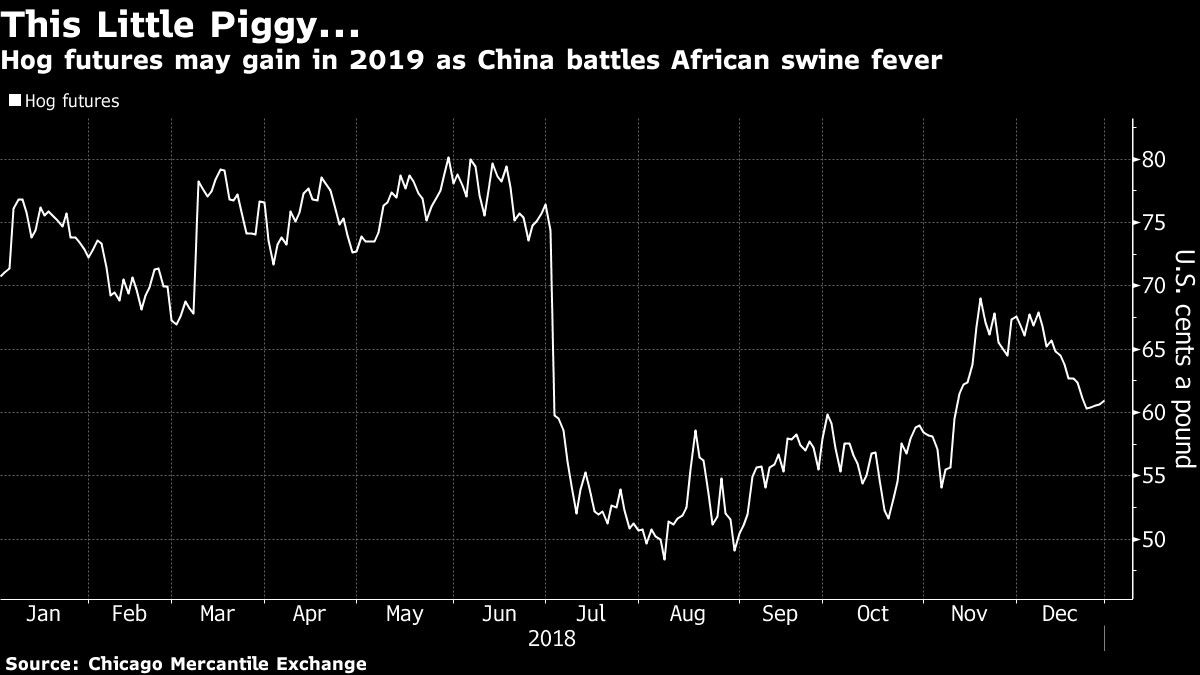 Hog futures may gain in 2019 as China battles African swine fever
