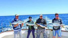 0108_Aguerridos limones en aguas de Mar del Plata
