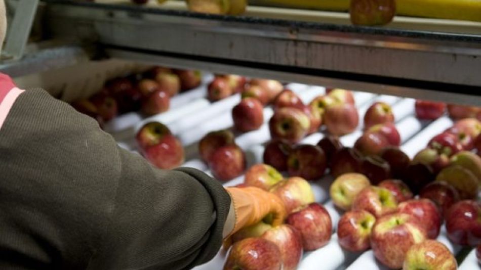 APOYO. 34 PyMes elegidas para diferenciar sus productos en los mercados, por un total de $11.249.313,44.