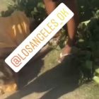 alejandra pradon_accidente