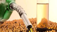 Caen la producción y las exportaciones de biodiésel
