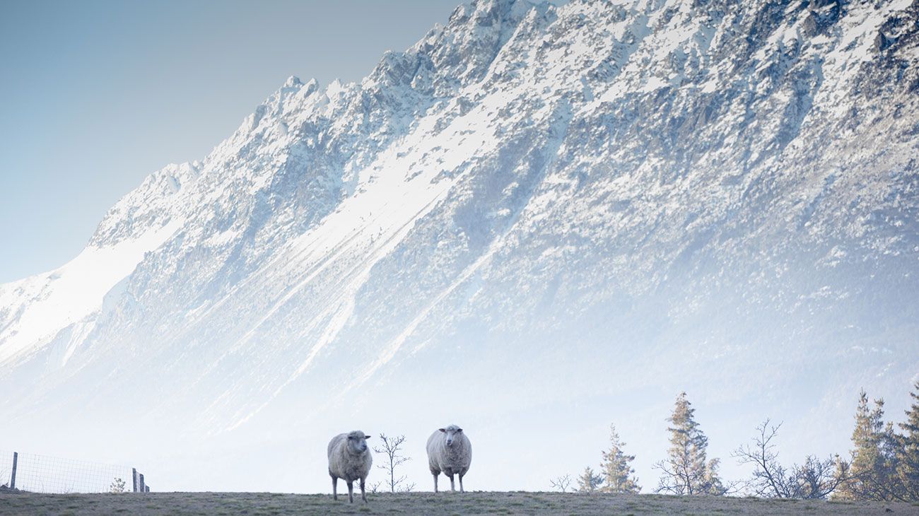 Parte del paisaje que rodea al laberinto.