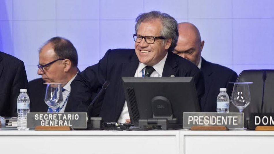 Luis Almagro 11012019
