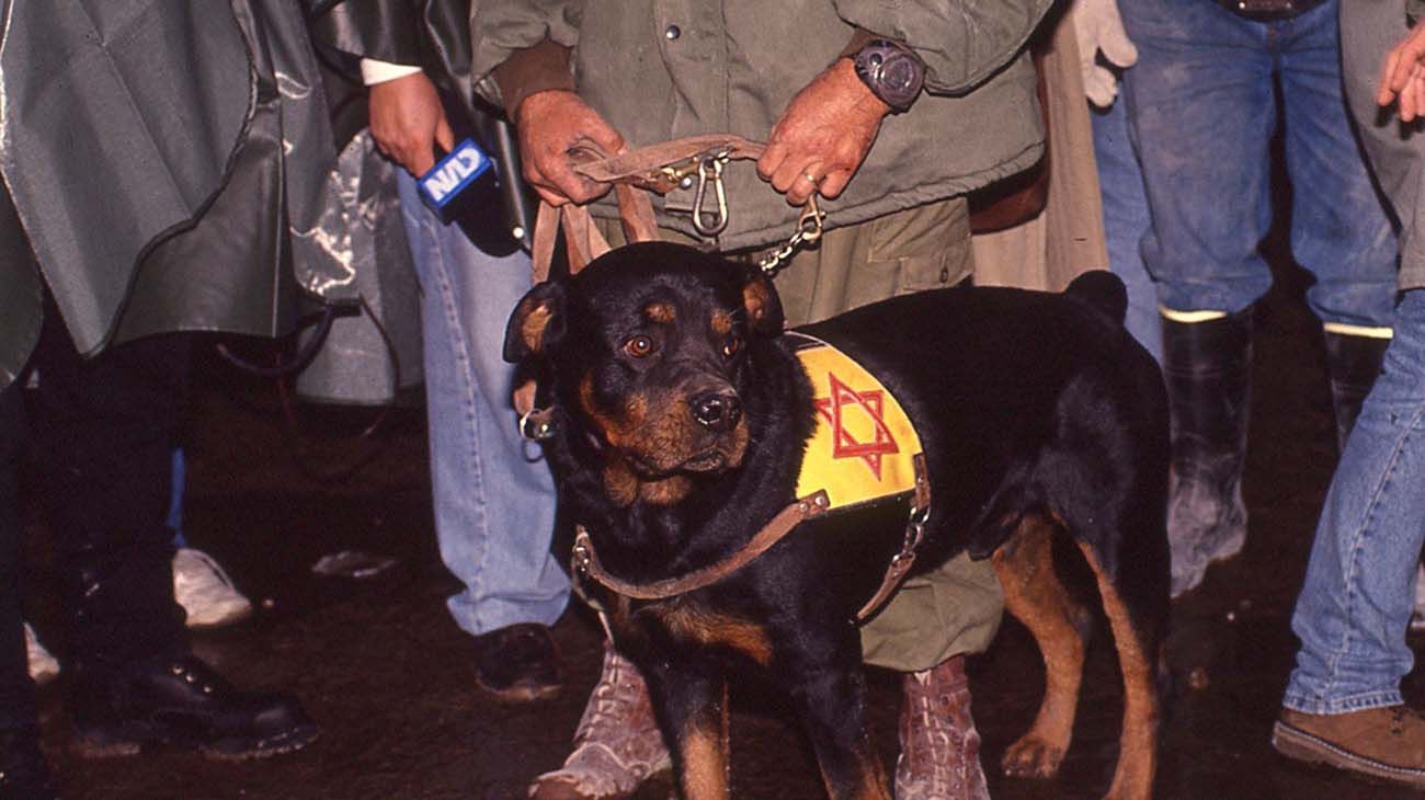 Atentado a la AMIA 18 de julio de 1994