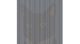 Ilusión Óptica 01172019